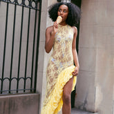 Lace See-Through Irregular Dress