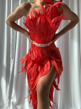 OPERA Feathers Dress