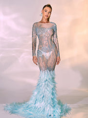 Briar Long Sleeve Rhinestone Feather Maxi Dress