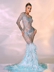 Briar Long Sleeve Rhinestone Feather Maxi Dress