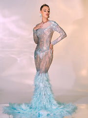 Briar Long Sleeve Rhinestone Feather Maxi Dress