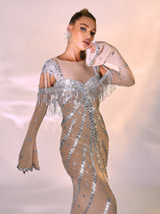 Reagan Long Sleeve Sequin Mesh Maxi Dress