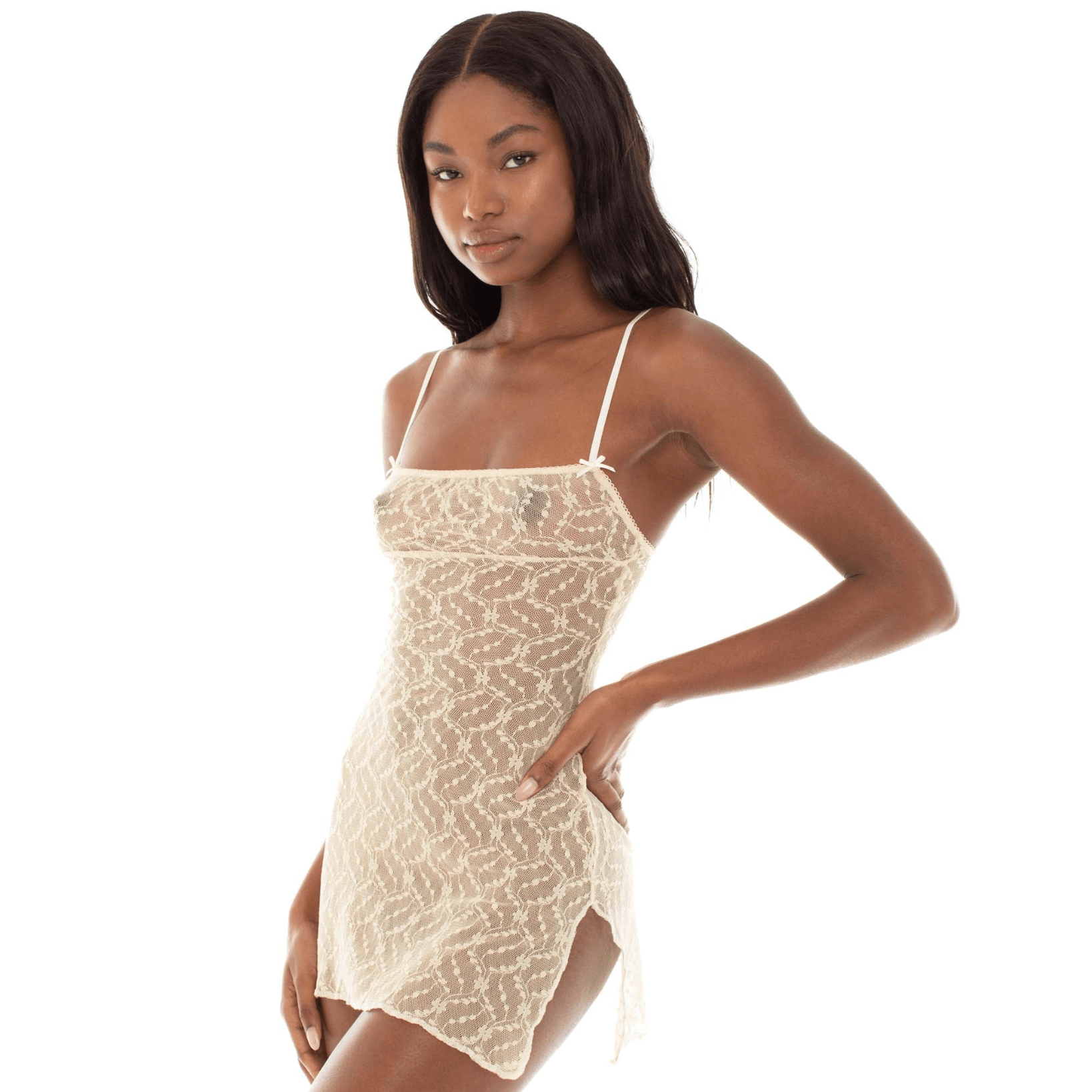 Happiness With You Sheer Vintage Floral Lace Mini Dress