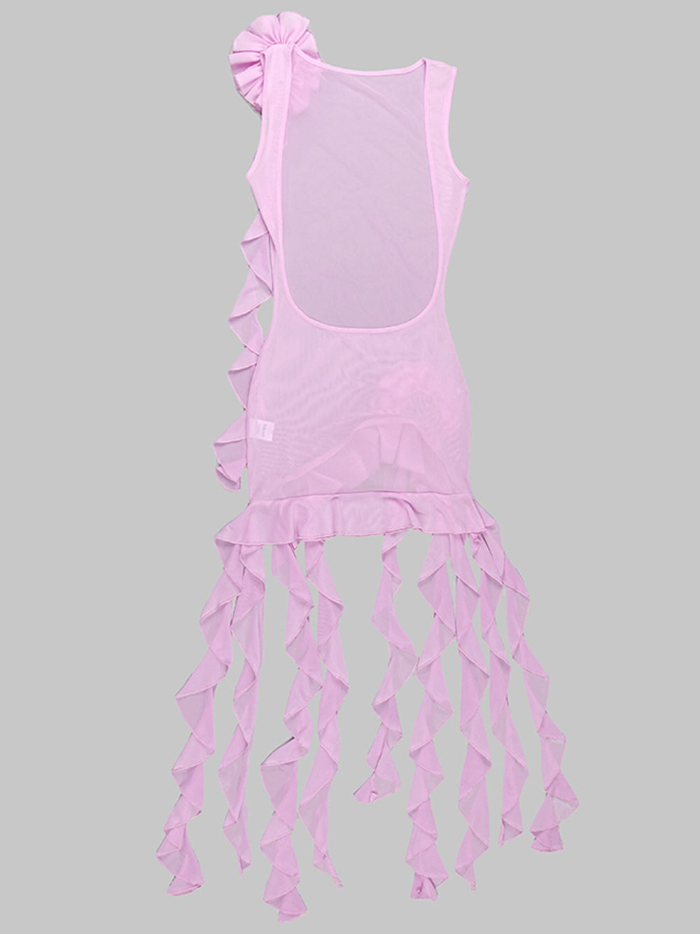 SIA Mesh Mini Dress