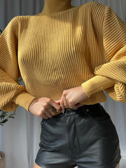 CHO Ribbed-knit Turtleneck Sweater in Brown