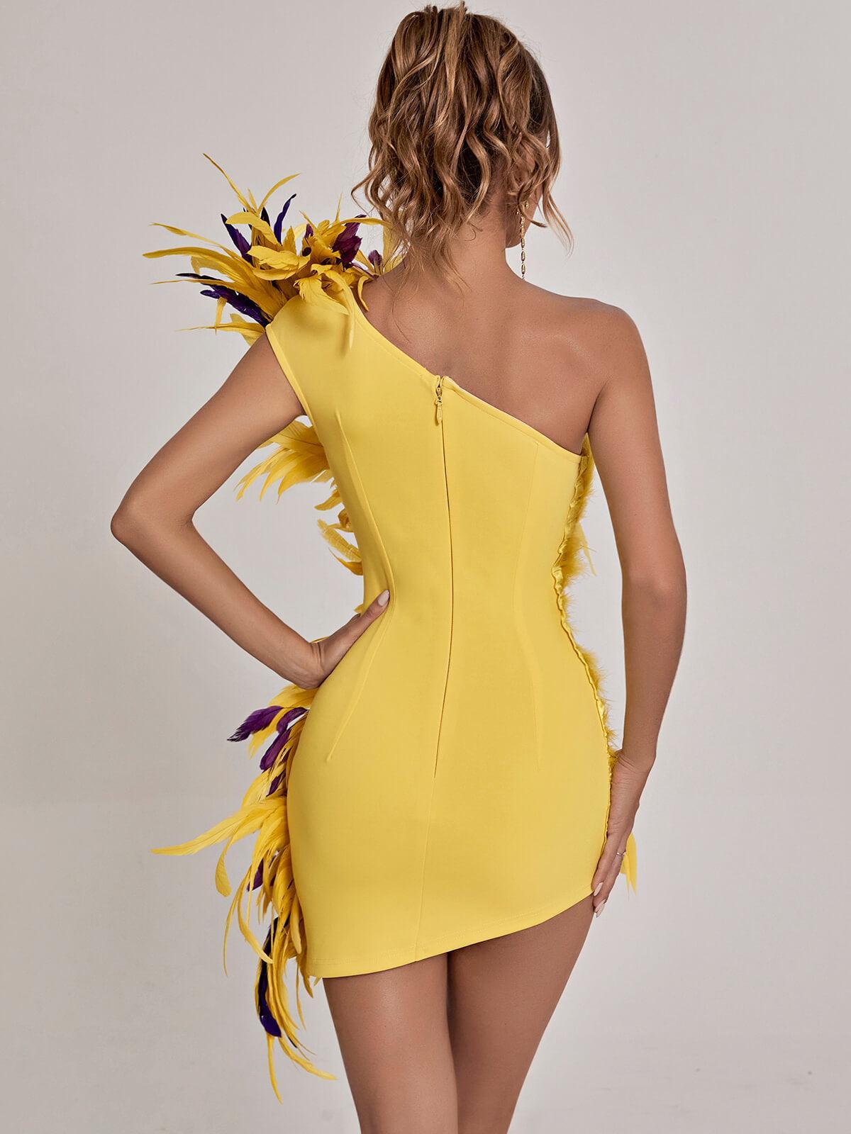 Paislee Asymmetric Feather Mini Dress