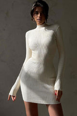 Chic High Neck Long Sleeve Bodycon Rib Knit Sweater Mini Dress - White