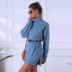 Lina Turtleneck Knitted Sweater Mini Dress